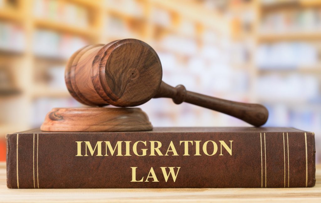 Immigration Lawyer 
